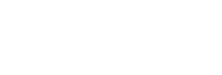Foundation of Shalom Park logo